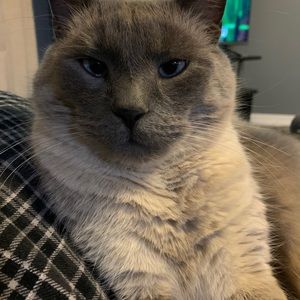 Meet your Posher, Marshall